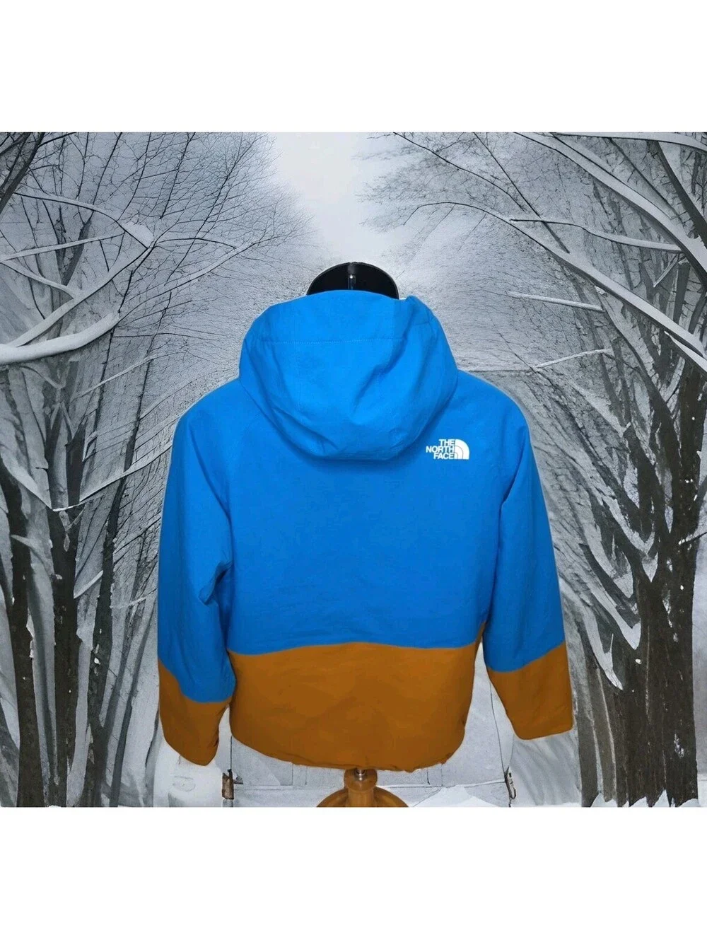 The North Face Jacket Chakado Insulated Dryvent Ski Snowboard Youth XL Men Small